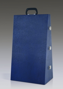 Monstrance Case 920-60